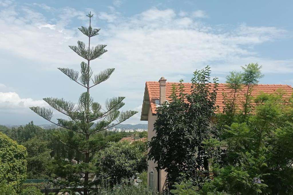 Claelle Appartment - 200M Beach Mandelieu La Napoule Ngoại thất bức ảnh